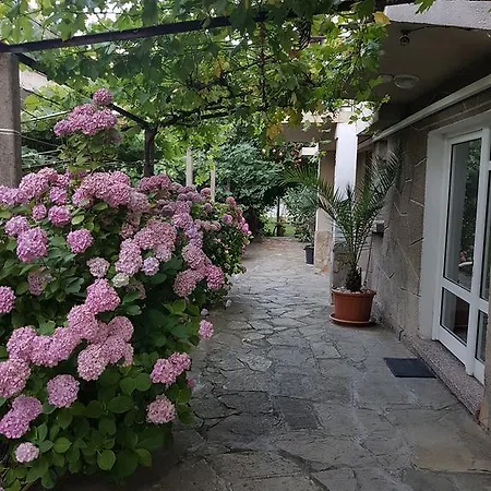 Konukevi Veselina Primorsko