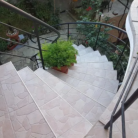 Veselina Konukevi 3*