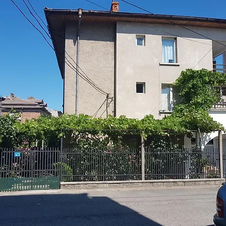 Veselina Konukevi 3*